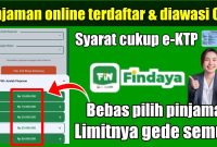 Pinjaman Online Findaya Solusi Dana Cepat, Aman, dan Praktis