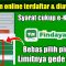 Pinjaman Online Findaya Solusi Dana Cepat, Aman, dan Praktis